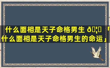 什么面相是天子命格男生 🦈 「什么面相是天子命格男生的命运」